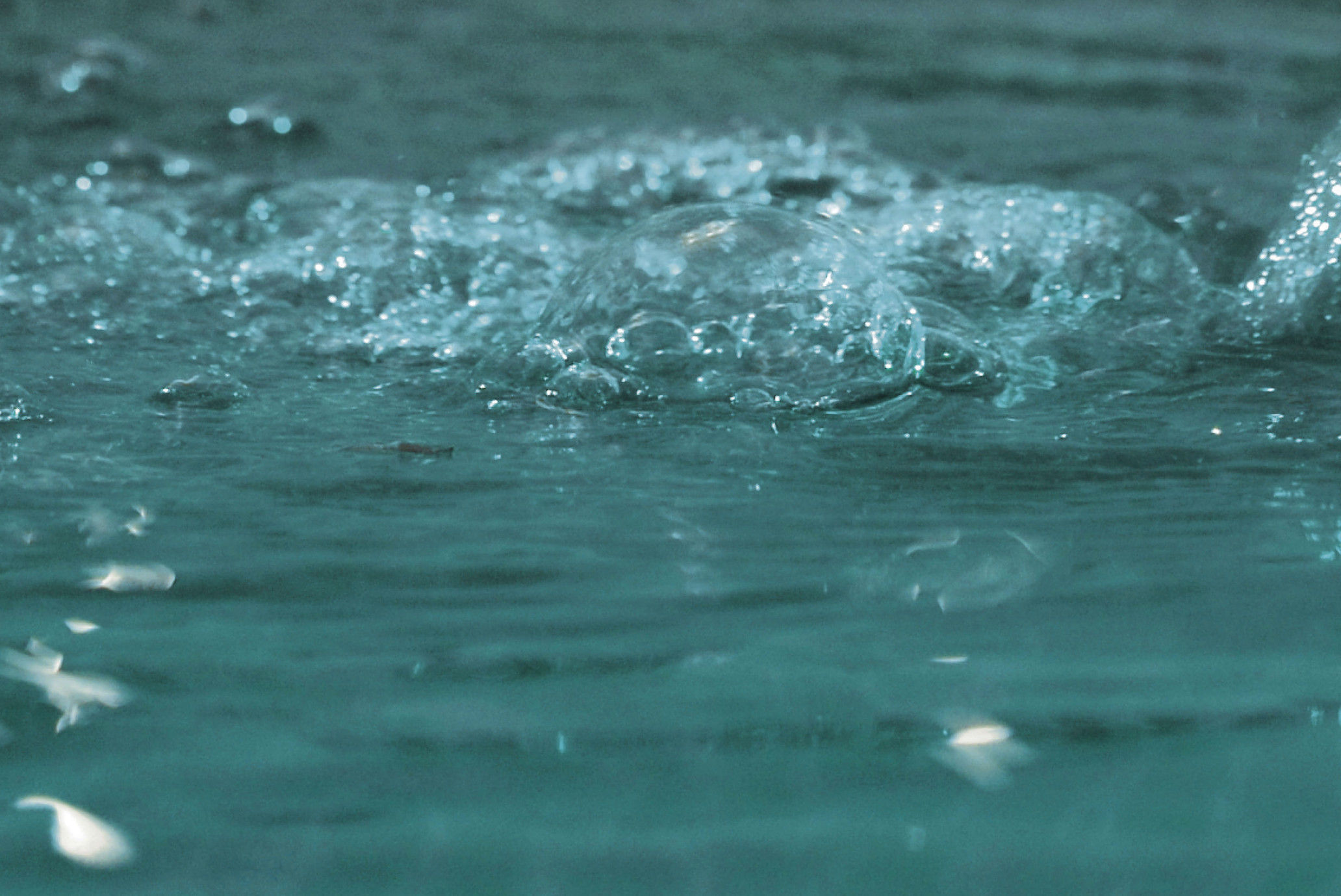 Bagno Divino di Coppia a Terme della Valpolicella